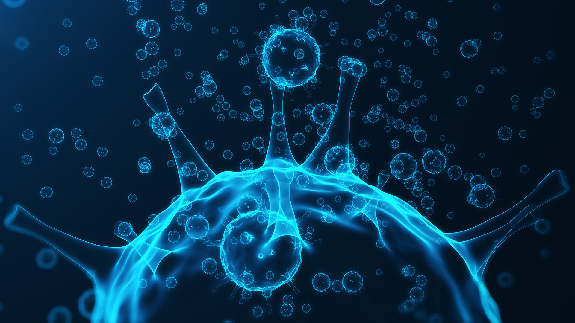 5 Main Things to Know About Bacteria And Viruses