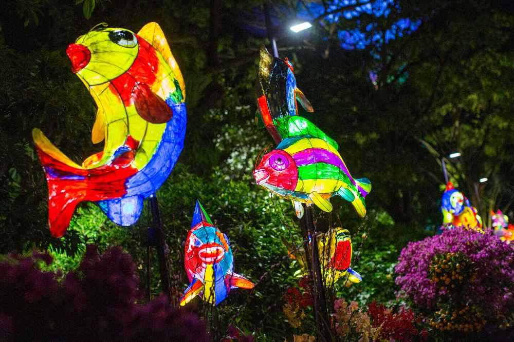 5 Things You Can't Miss At Gardens By The Bay This CNY