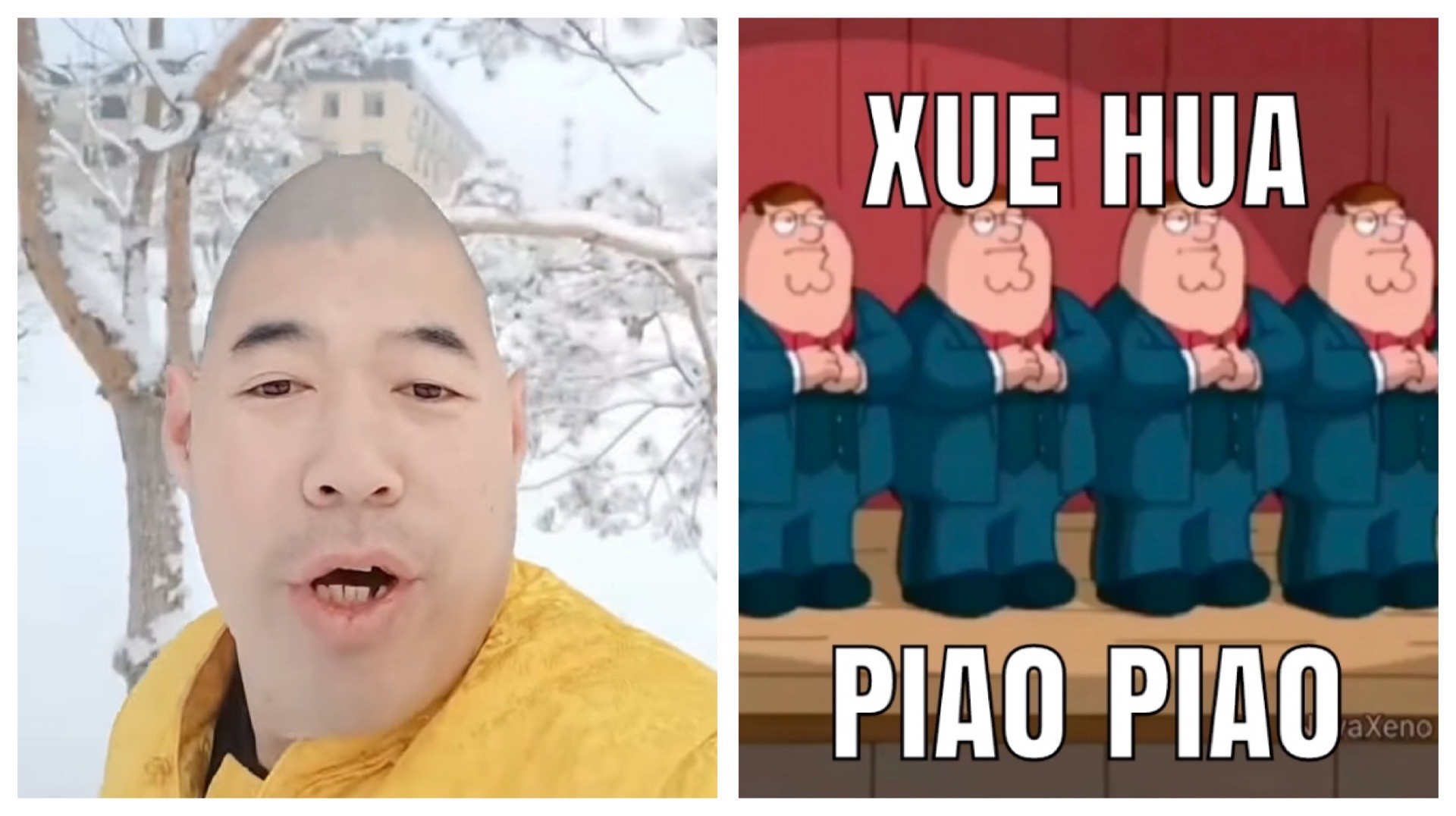 What We Need In This Rain: Xue Hua Piao Piao Memes