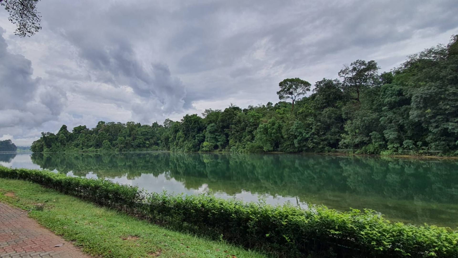 5 Things To Do In MacRitchie Other Than The TreeTop Walk