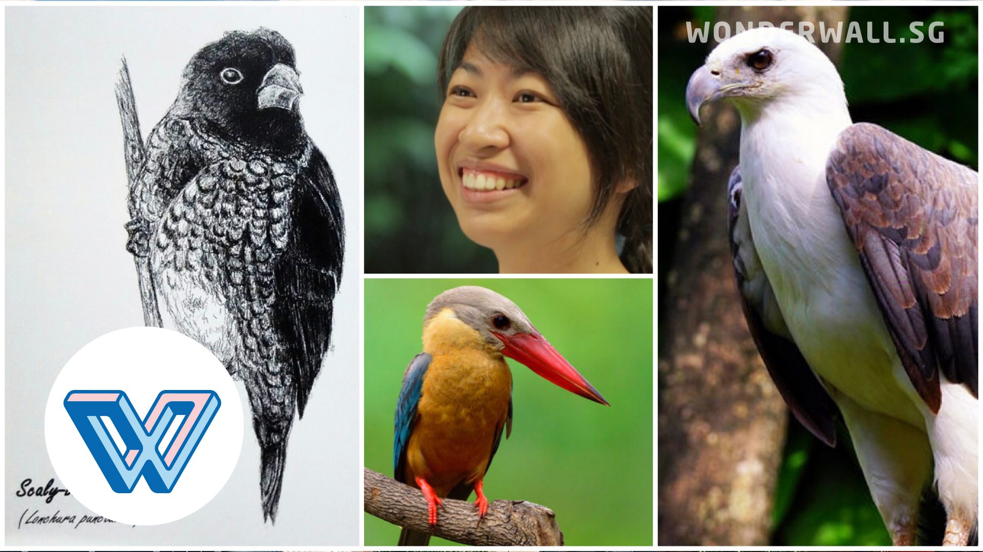 Henrietta Woo can spot and identify birds not only by sight but also by their different calls and warbling.