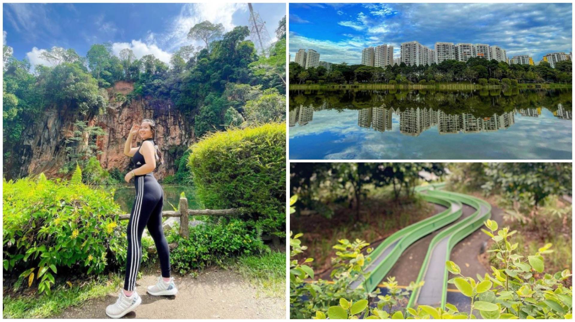  We're not called a Garden City for nothing, you know: (clockwise from left) Bukit Batok Nature Park, Punggol Park and Admiralty Park are some of the green spaces you can find in our 'hoods.