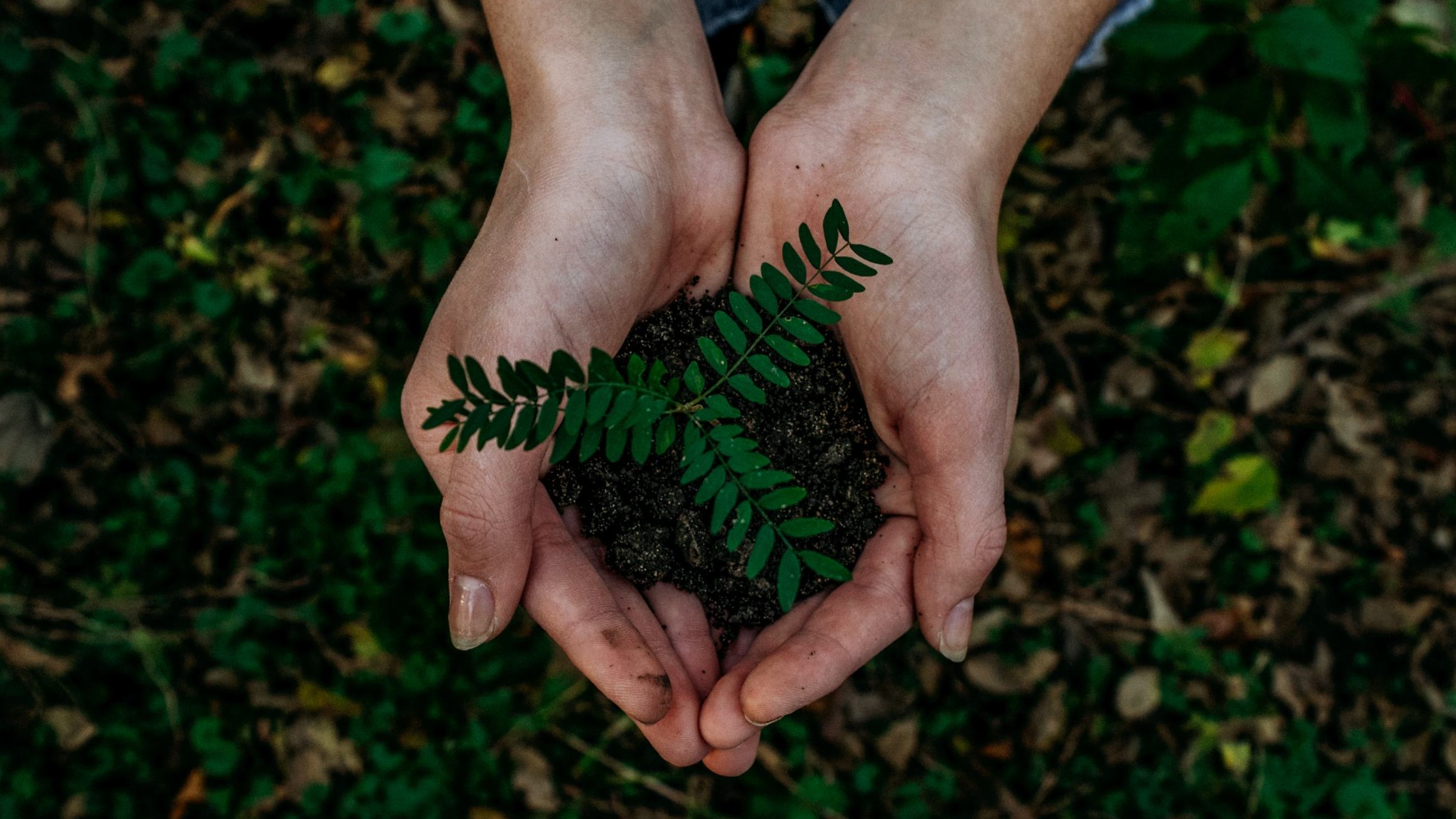 Want to be environmentally-conscious? Then start planting some good habits in your life.