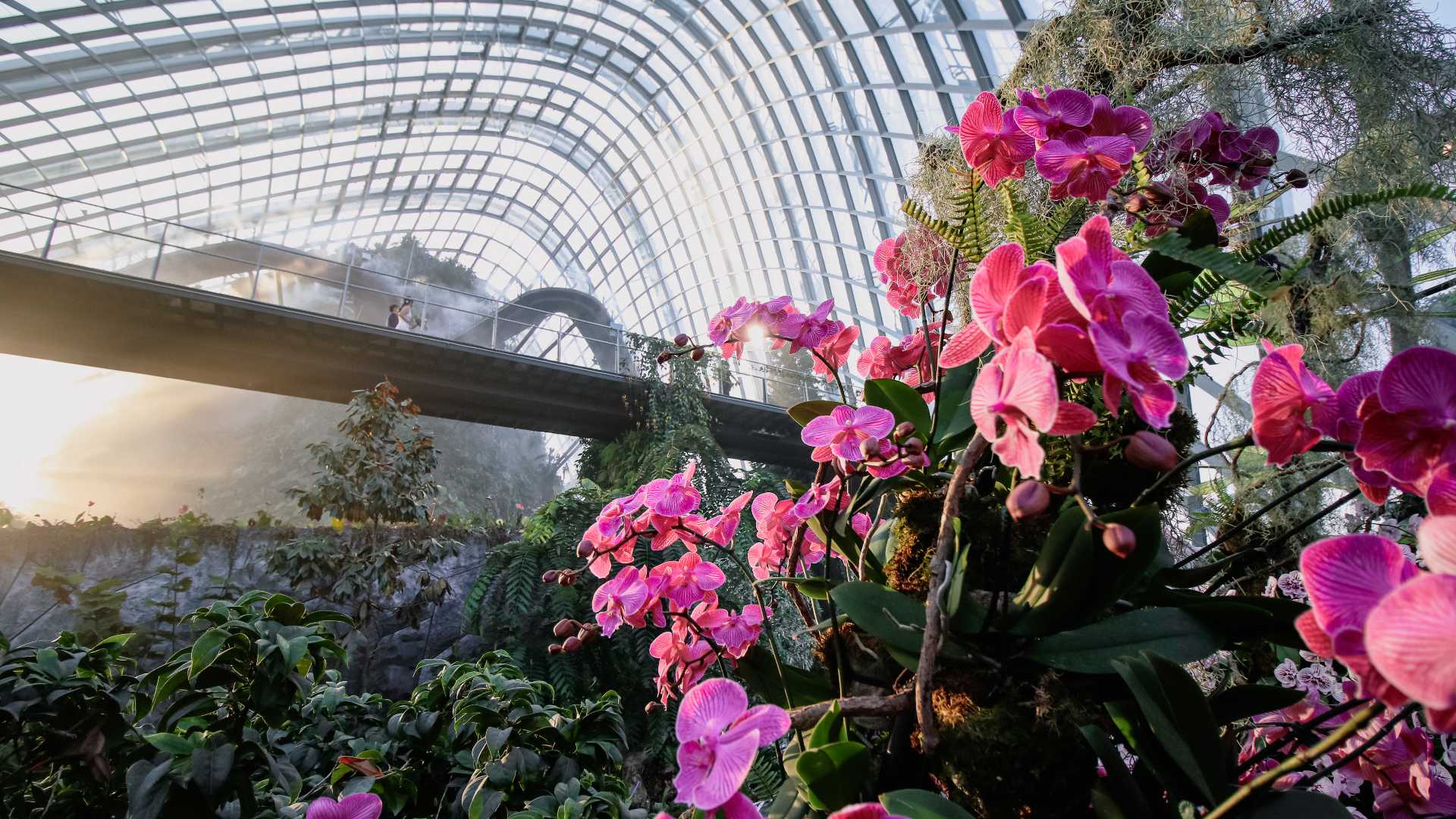 A gesture of thanks to spread some much-needed good cheer and to lift spirits with the beauty of nature.