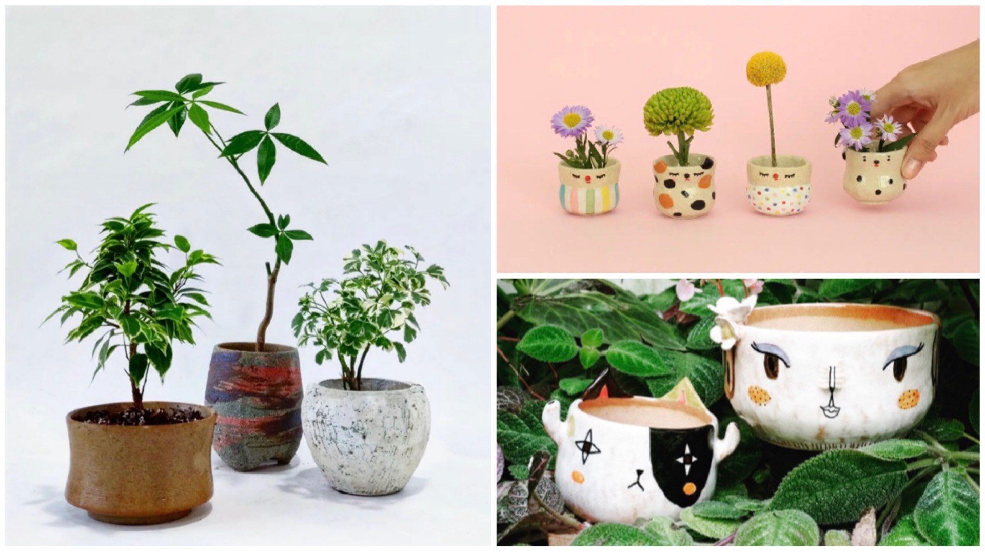 Places To Pick Up Aesthetic Planters To Add Pop And Pizzazz To Your Space