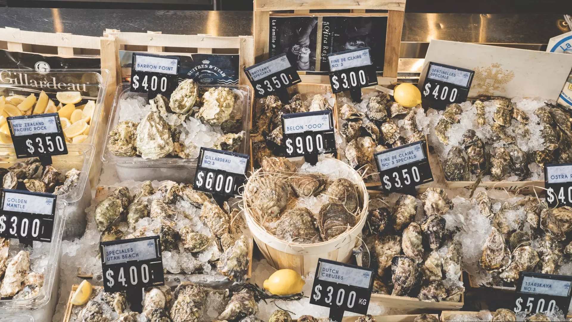 What To Do This Weekend (8 to 10 Jul)