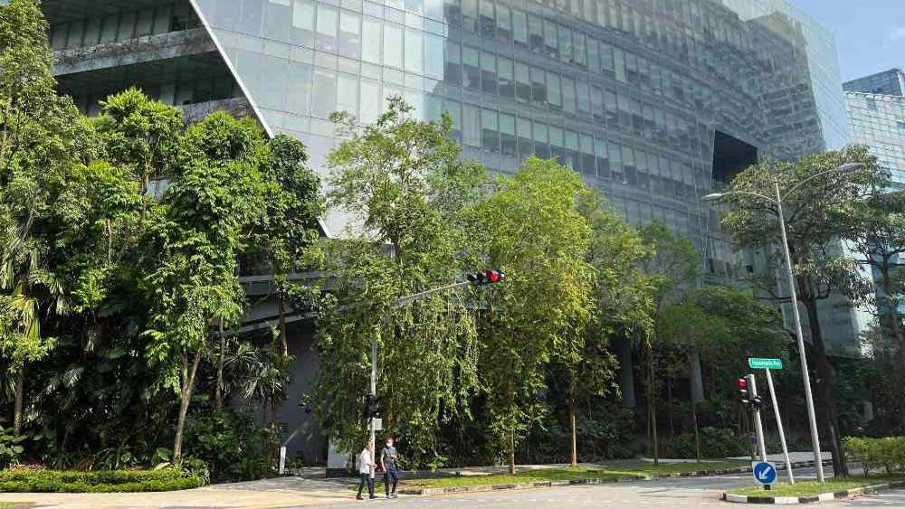 One-north is an impressive example of what future car-lite areas in Singapore will look like.